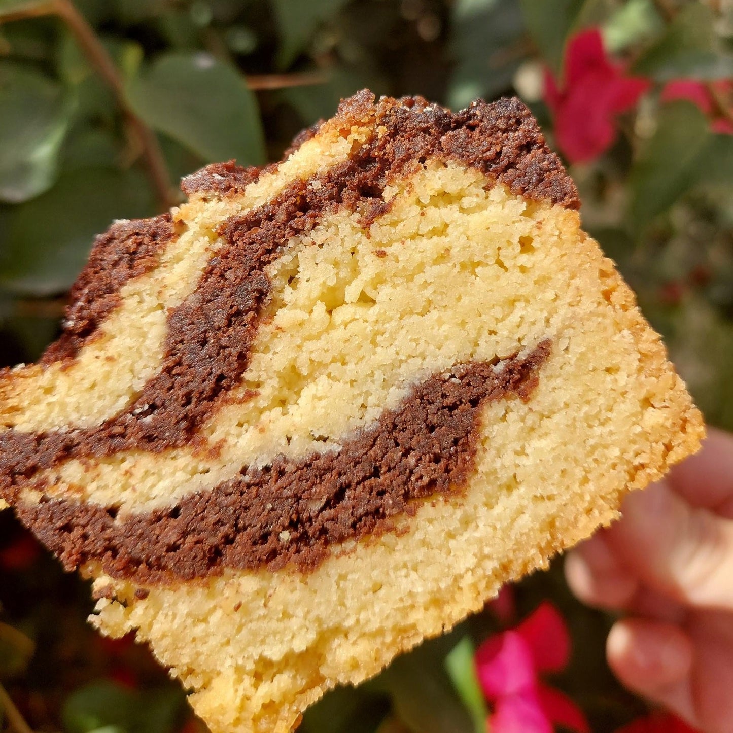 Marble cake 500 gr (Round Shape)